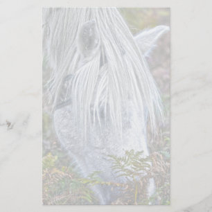 Papelería El nuevo bosque blanco silvestre que hace una paja