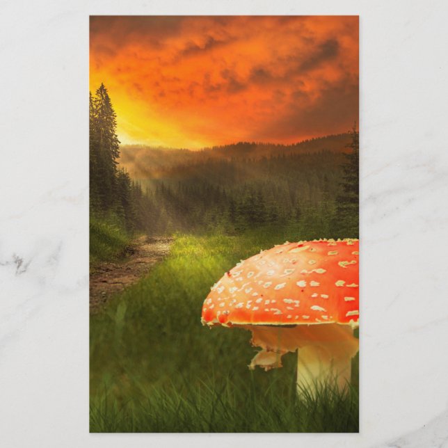 Papelería El Sol Otoño. (Anverso)