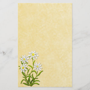 Papelería El suizo Edelweiss florece los efectos de