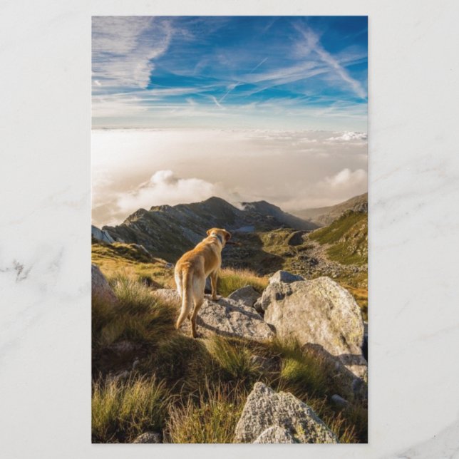 Papelería El viaje (Anverso)