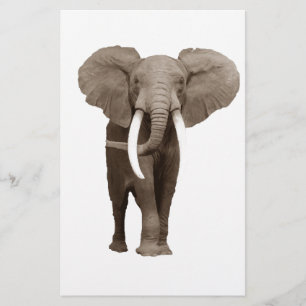 Papelería Elefante