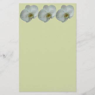 Papelería Elegante Flor Orquídea Blanca Botánica