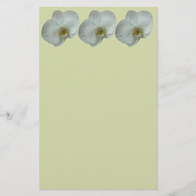 Papelería Elegante Flor Orquídea Blanca Botánica (Anverso)