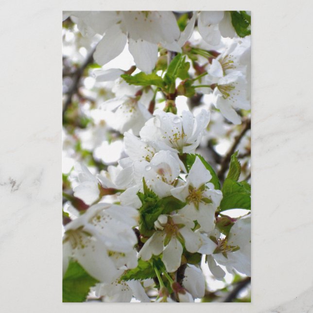 Papelería Elegante foto de flor floral blanca (Anverso)