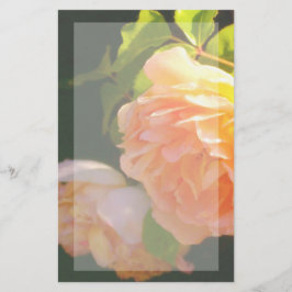 Papelería Elegante naranja clásico rosas de melocotón floral