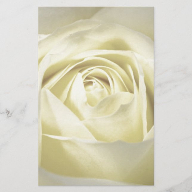 Papelería Elegante Rosa crema (Anverso)