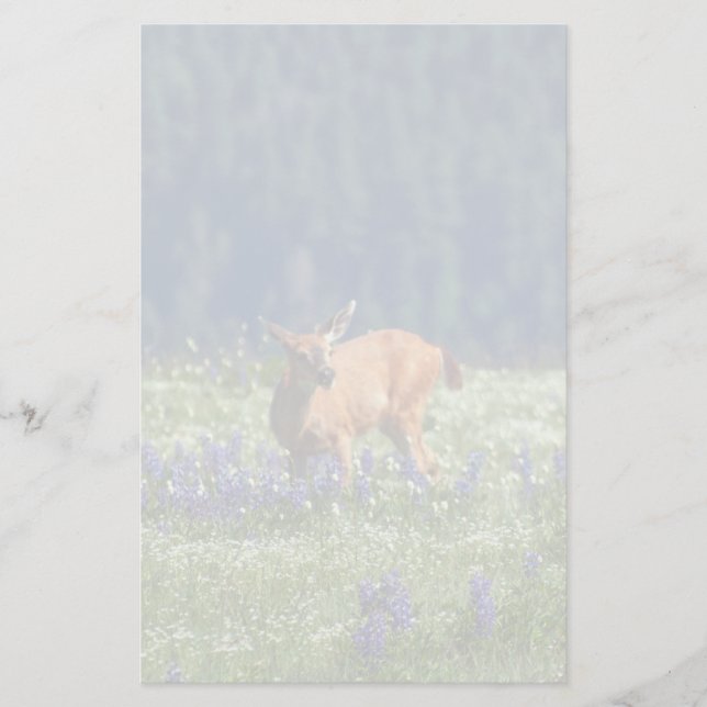 Papelería En la pradera (Anverso)