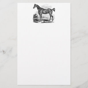 Papelería Equestrian excelente del caballo del vintage