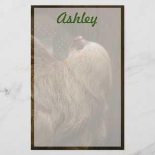 Papelería Eslogan