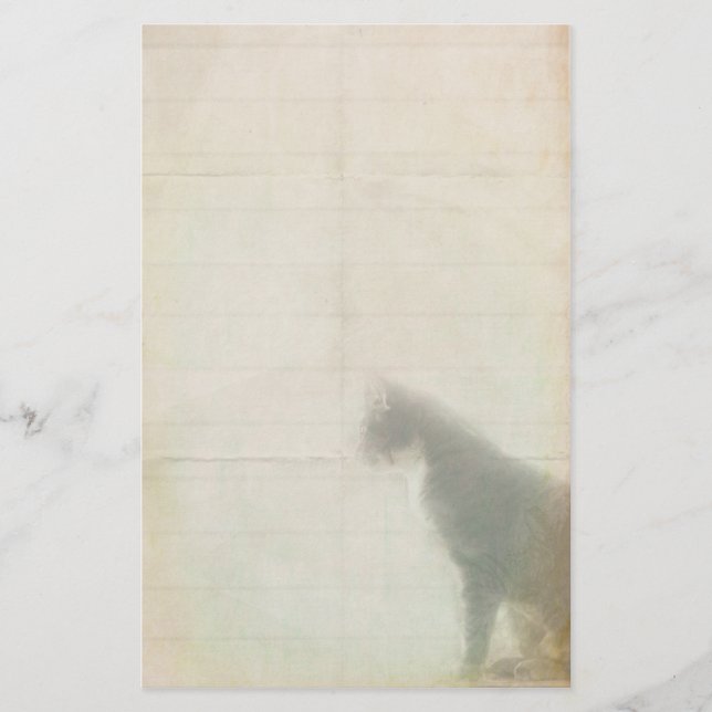 Papelería Esperando gato (Anverso)