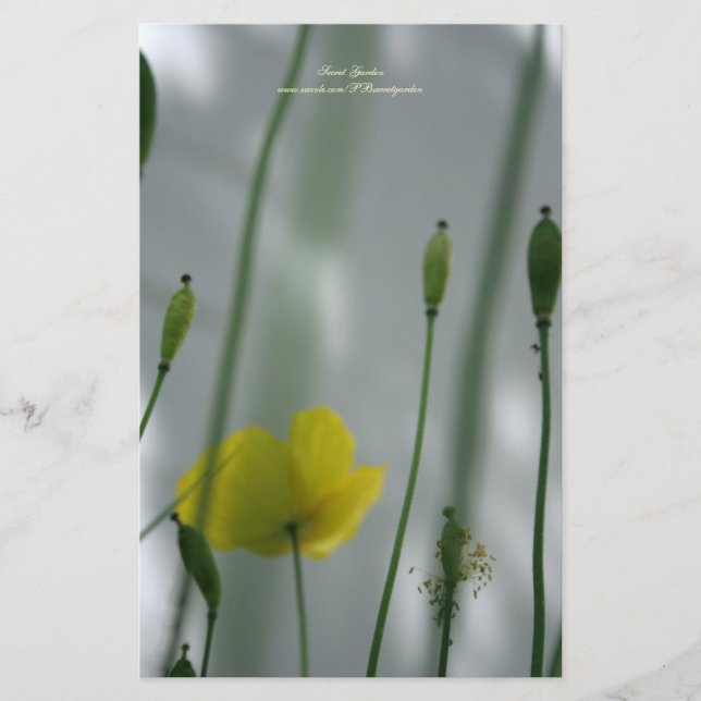 Papelería Espías amarillas sombra 3 Estacionamiento personal (Anverso)