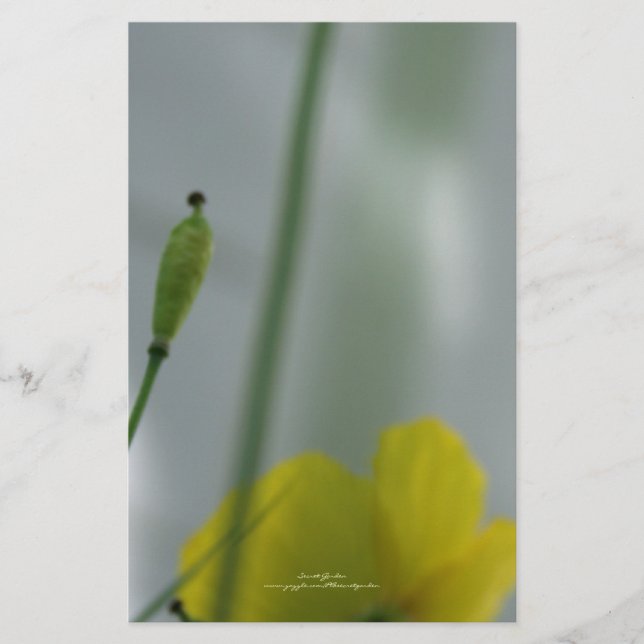 Papelería Espías amarillos sombra 12 Estacionería Personaliz (Anverso)