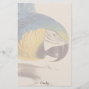 Papelería Estacionamiento Blue Gold Macaw Parrot Bird Wildli