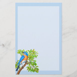 Papelería Estacionamiento de aves silvestres de Bluebird