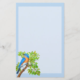 Papelería Estacionamiento de aves silvestres de Bluebird