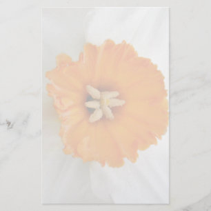 Papelería Estacionamiento de Daffodil Blanco