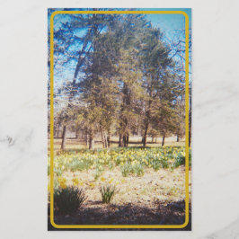 Papelería Estacionamiento de Daffodil Vintage