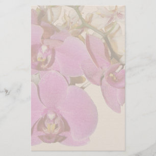 Papelería Estacionamiento de flores de orquídeas