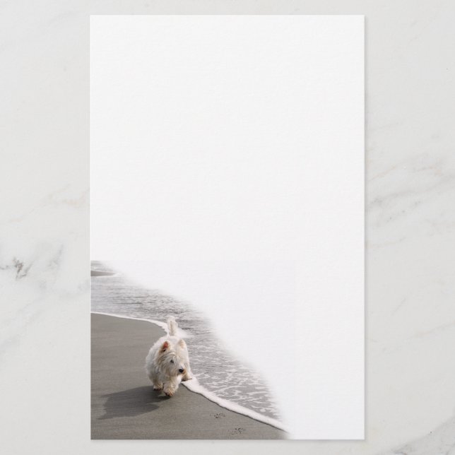 Papelería Estacionamiento De Fotografía De Westie En Beachco (Anverso)