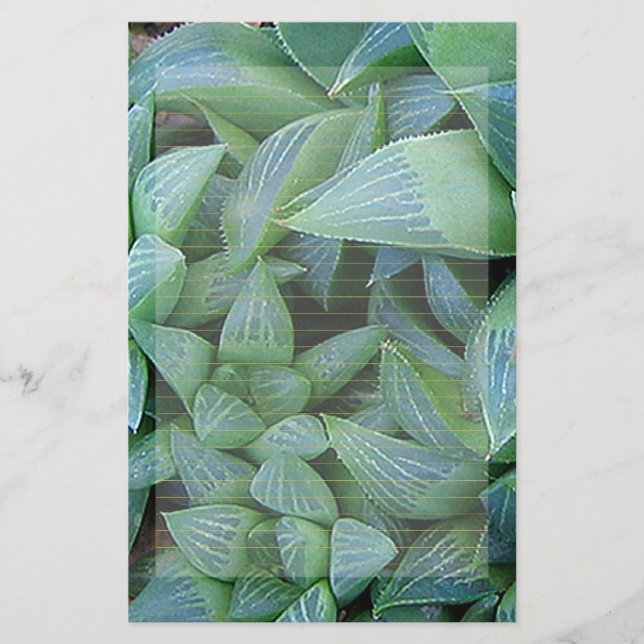 Papelería Estacionamiento de las plantas verdes de Haworth (Anverso)