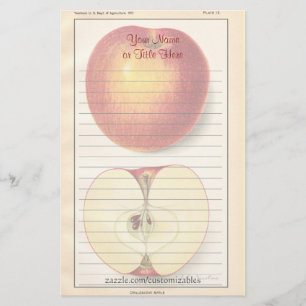 Papelería Estacionamiento de manzana vintage