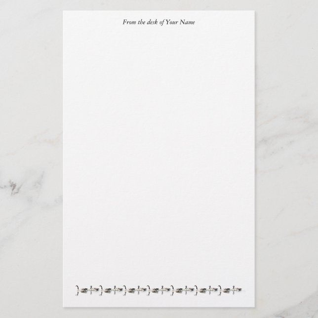 Papelería Estacionamiento De Natación Geese (Anverso)