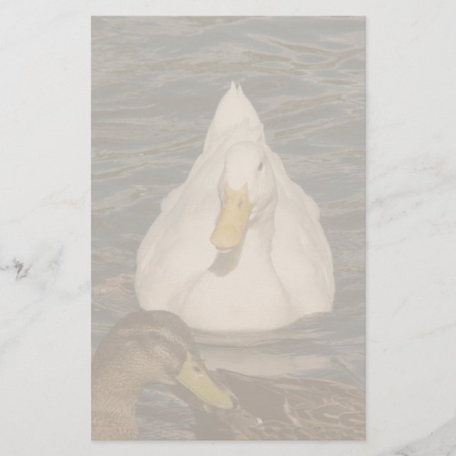 Papelería Estacionamiento de pájaros polacos de Pekin (Anverso)