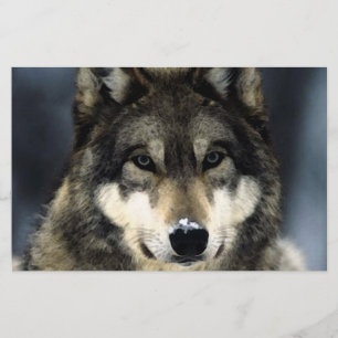 Papelería Estacionamiento de retrato de lobo