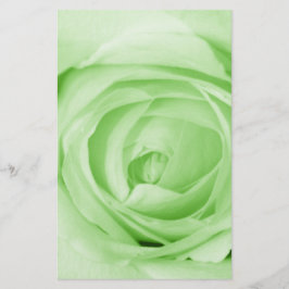 Papelería Estacionamiento de Rosa de Mint Green