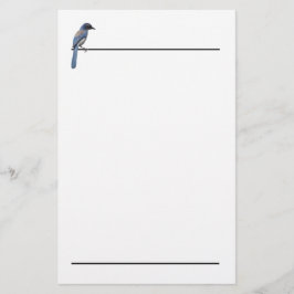 Papelería Estacionamiento - Jay azul