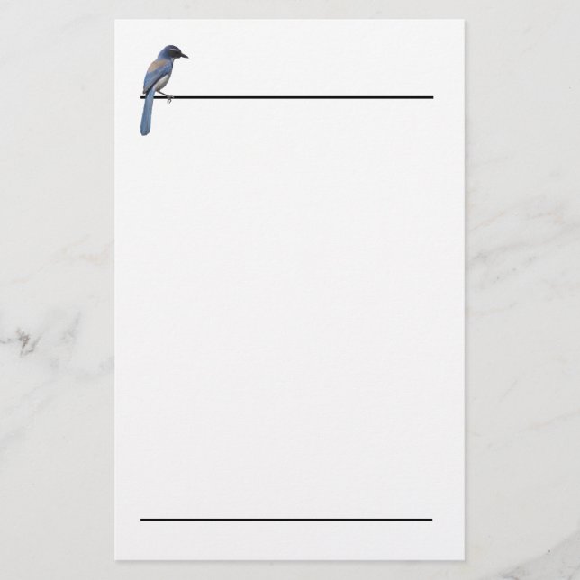 Papelería Estacionamiento - Jay azul (Anverso)
