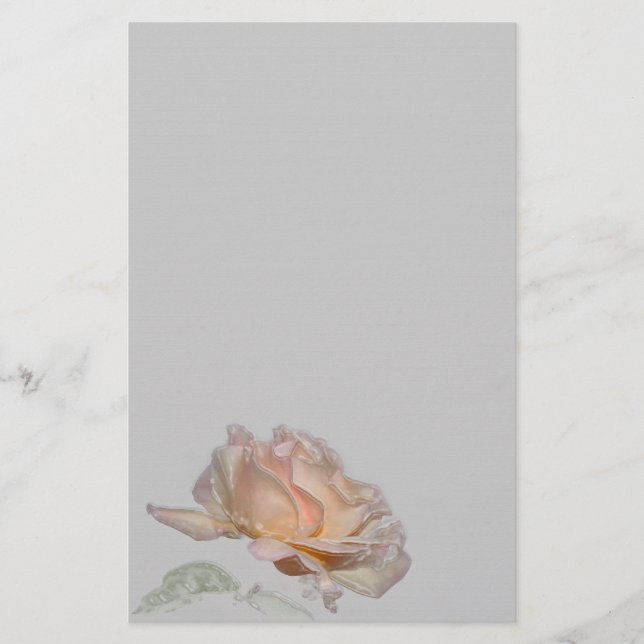 Papelería Estacionamiento rosa rosa (Anverso)