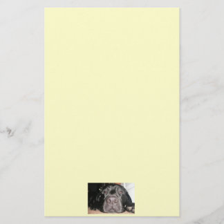 Papelería Estacionario negro de laboratorio