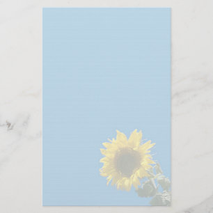 Papelería Estacionería - Girasol