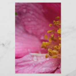 Papelería Estambres de flores de camellia rosa