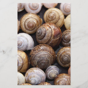 Papelería Estanques de caracol
