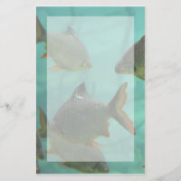Estilo del acuario inmóvil