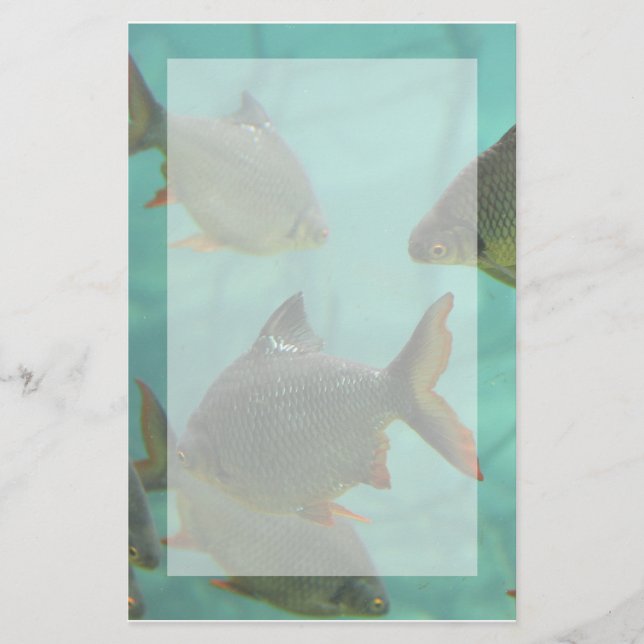 Papelería Estilo del acuario inmóvil (Anverso)