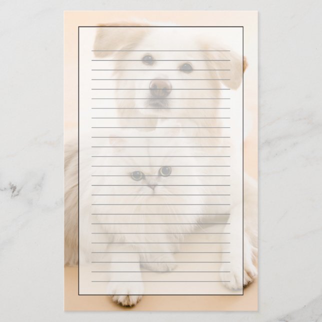 Papelería Estudio tirado de gato y de perro (Anverso)