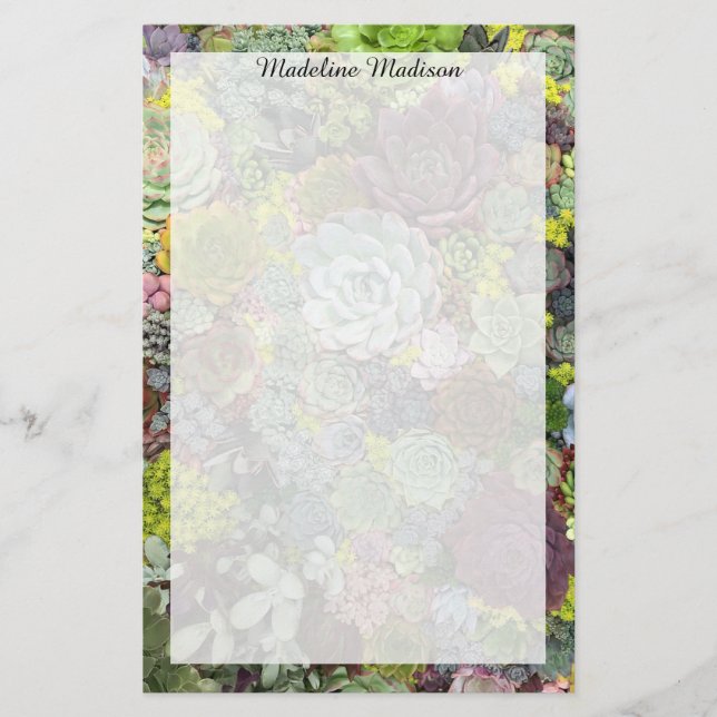 Papelería Éxitos verdes (Anverso)