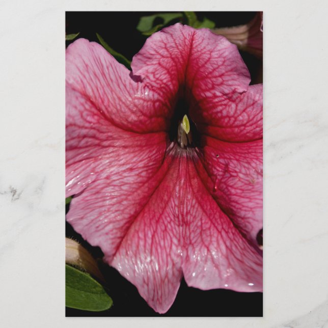 Papelería Explosión floral (Anverso)