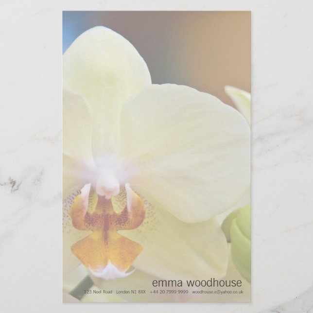 Papelería Falenopsis Orquídea (Anverso)