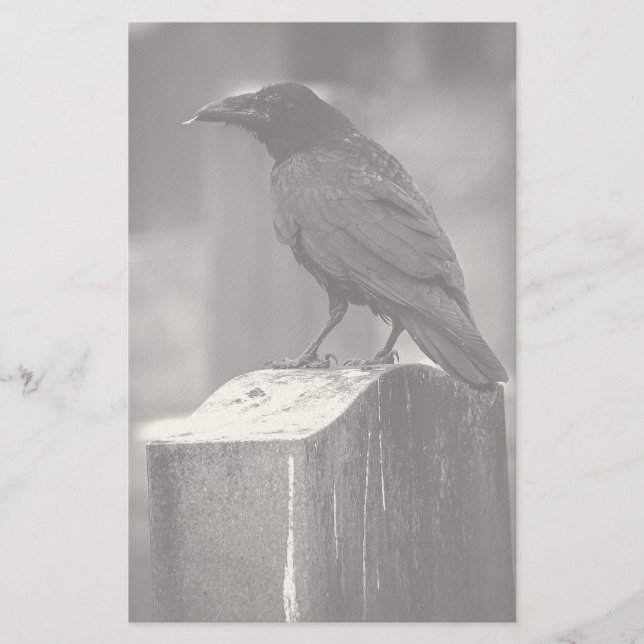 Papelería Falln Encontró Una Pluma (Anverso)