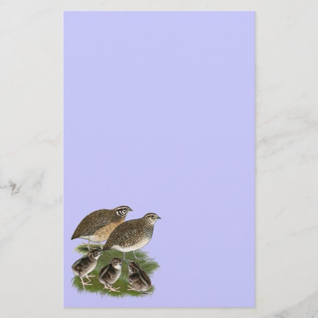 Papelería Familia de codornices Coturnix (Anverso)
