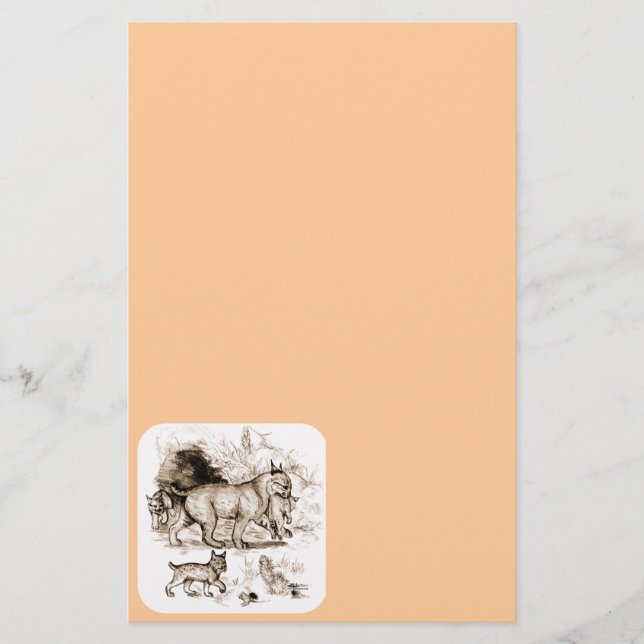Papelería Familia de Linces Rojos (Anverso)