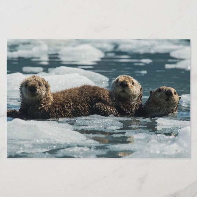 Papelería Familia Sea Otter (Anverso)