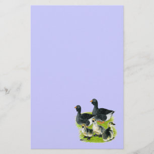 Papelería Familia Toulouse Goose