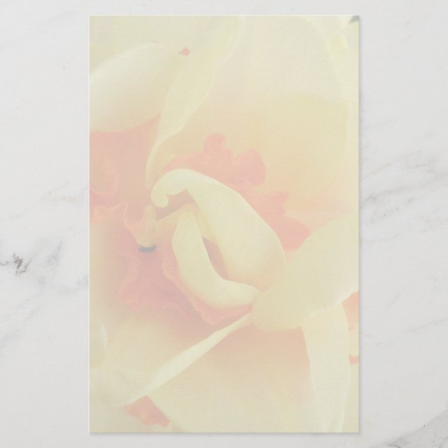 Papelería Fancy Daffodil Stationery (Anverso)