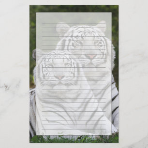 Papelería Fase blanca, Tigre de Bengala, Tigris