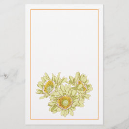 Papelería Feliz Contigo, Stationery